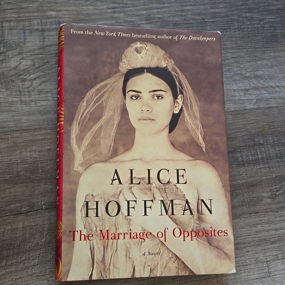 The Marriage Of Opposites Hardcover Book By Alice Hoffman, EUC